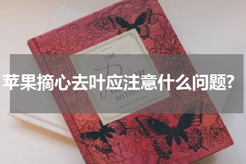 苹果摘心去叶应注意什么问题?