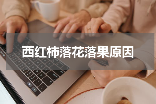 西红柿落花落果原因