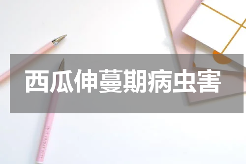 西瓜伸蔓期病虫害