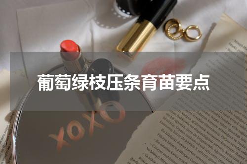 葡萄绿枝压条育苗要点