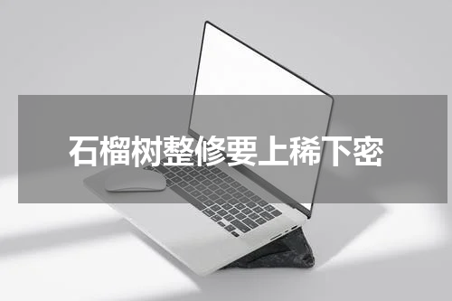 石榴树整修要上稀下密