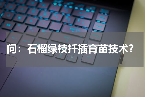 问：石榴绿枝扦插育苗技术？