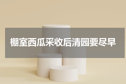棚室西瓜采收后清园要尽早