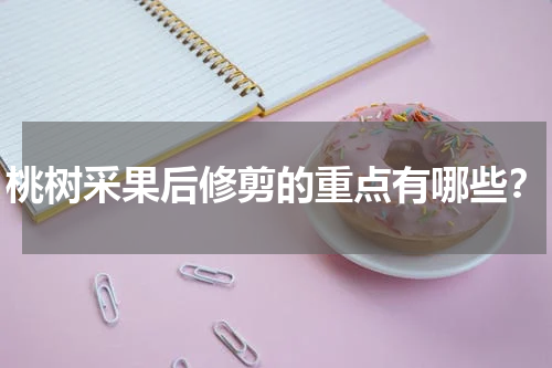 桃树采果后修剪的重点有哪些？
