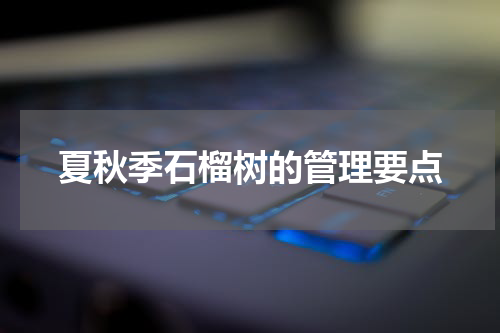 夏秋季石榴树的管理要点