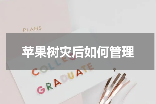 苹果树灾后如何管理