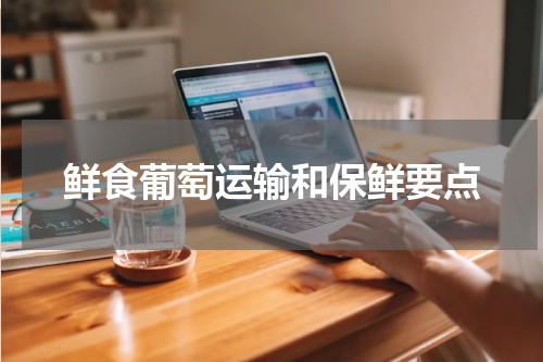 鲜食葡萄运输和保鲜要点