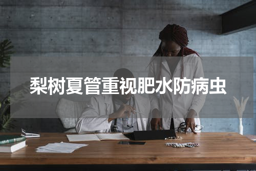 梨树夏管重视肥水防病虫