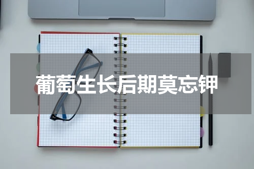 葡萄生长后期莫忘钾