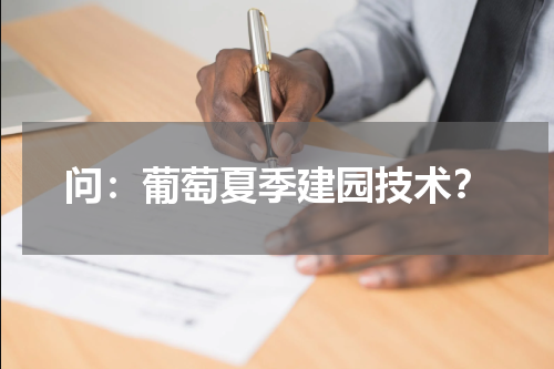 问：葡萄夏季建园技术？