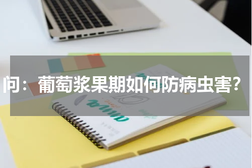 问：葡萄浆果期如何防病虫害？