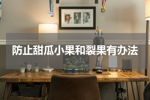 防止甜瓜小果和裂果有办法