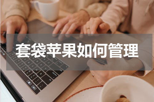 套袋苹果如何管理