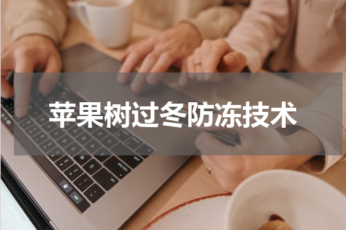 苹果树过冬防冻技术