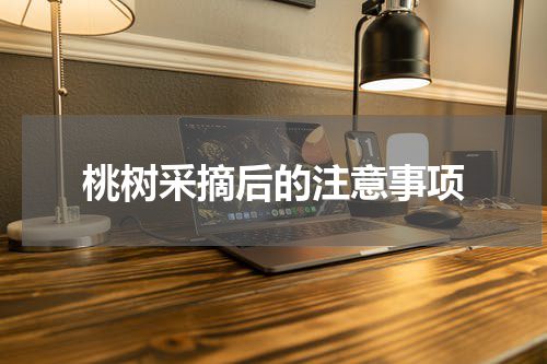 桃树采摘后的注意事项