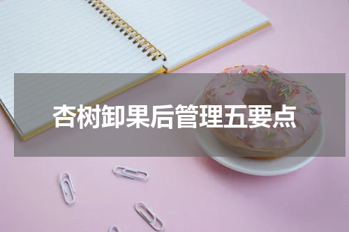 杏树卸果后管理五要点