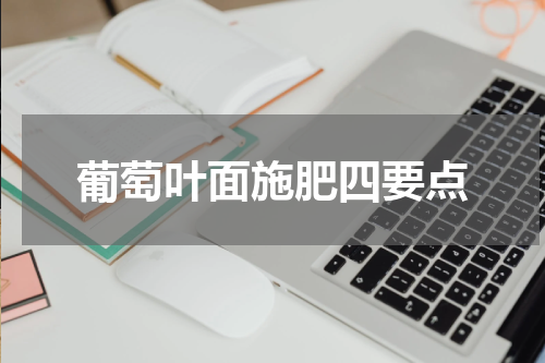 葡萄叶面施肥四要点