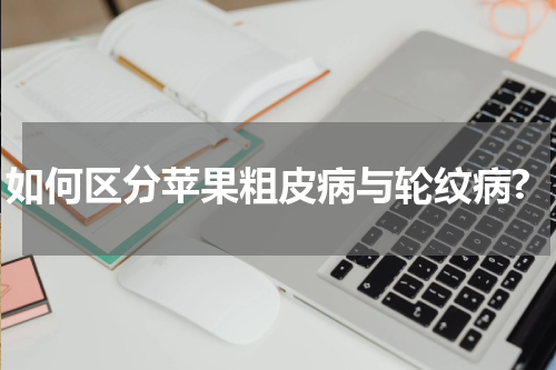 如何区分苹果粗皮病与轮纹病?