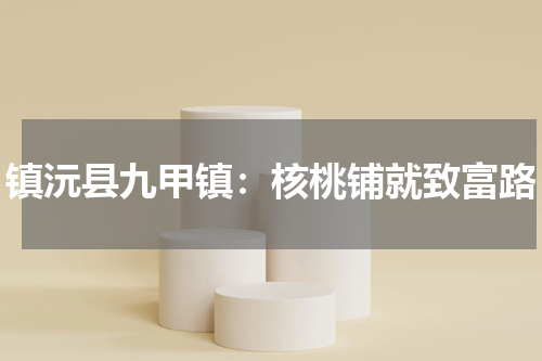 镇沅县九甲镇：核桃铺就致富路