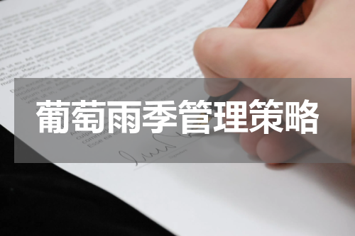 葡萄雨季管理策略