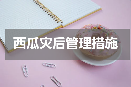 西瓜灾后管理措施