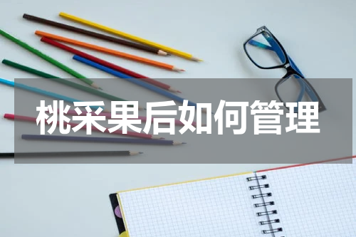 桃采果后如何管理