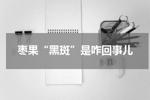 枣果“黑斑”是咋回事儿