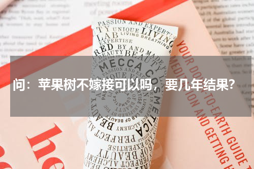 问：苹果树不嫁接可以吗，要几年结果？