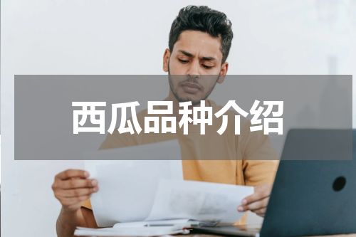 西瓜品种介绍