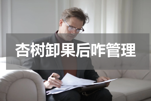 杏树卸果后咋管理