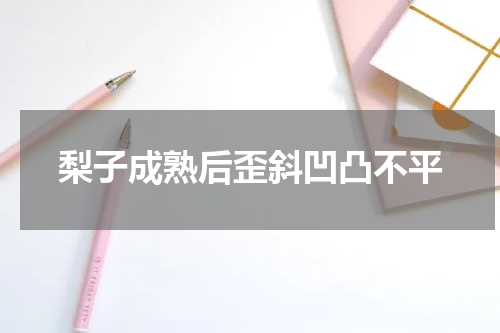 梨子成熟后歪斜凹凸不平
