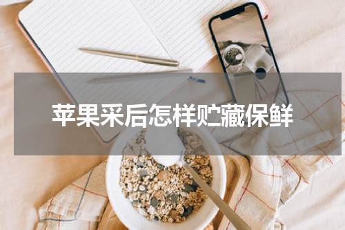 苹果采后怎样贮藏保鲜