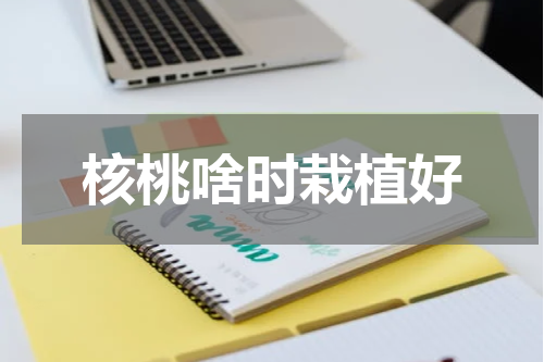 核桃啥时栽植好