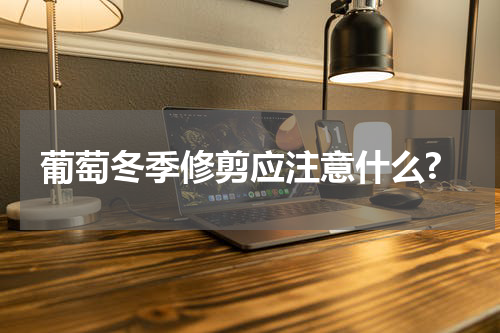 葡萄冬季修剪应注意什么?