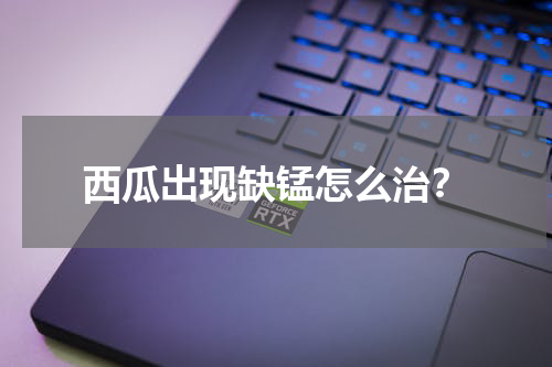 西瓜出现缺锰怎么治？