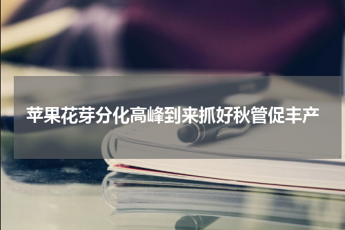 苹果花芽分化高峰到来抓好秋管促丰产