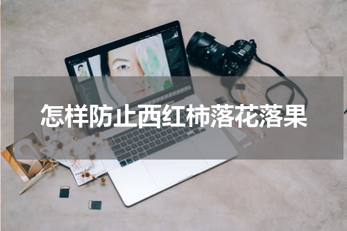 怎样防止西红柿落花落果