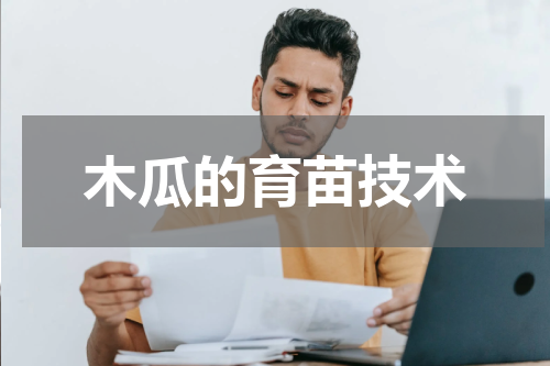 木瓜的育苗技术