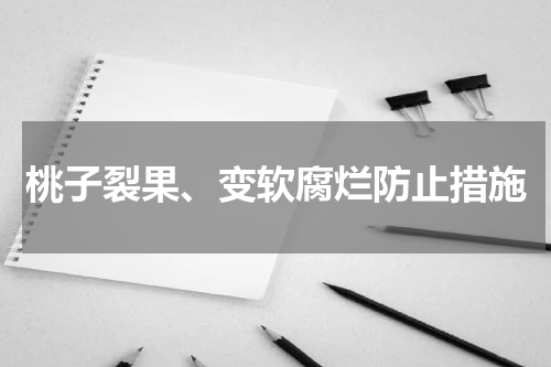 桃子裂果、变软腐烂防止措施
