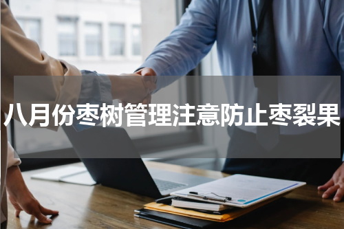 八月份枣树管理注意防止枣裂果