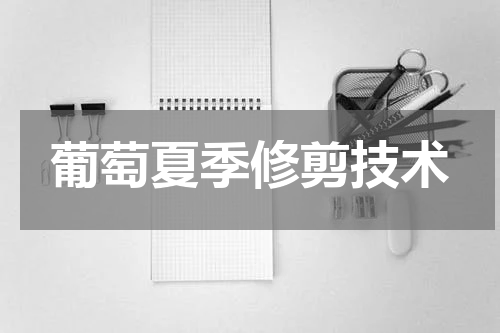 葡萄夏季修剪技术