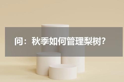 问：秋季如何管理梨树？