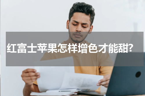 红富士苹果怎样增色才能甜?