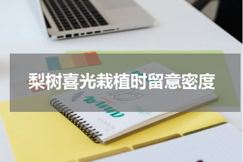 梨树喜光栽植时留意密度