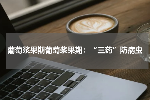葡萄浆果期葡萄浆果期：“三药”防病虫