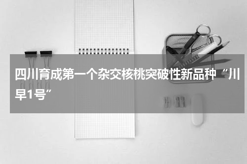 四川育成第一个杂交核桃突破性新品种“川早1号”