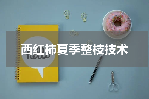 西红柿夏季整枝技术
