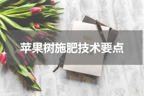 苹果树施肥技术要点