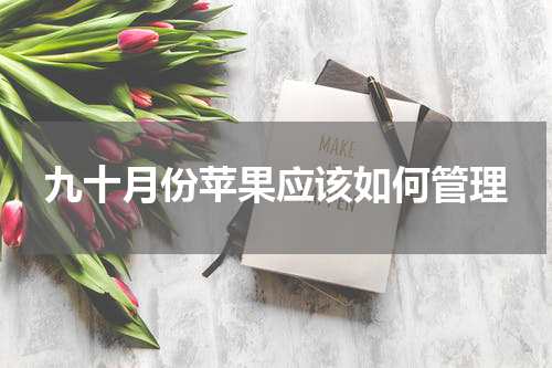 九十月份苹果应该如何管理