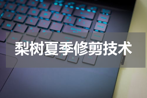 梨树夏季修剪技术
